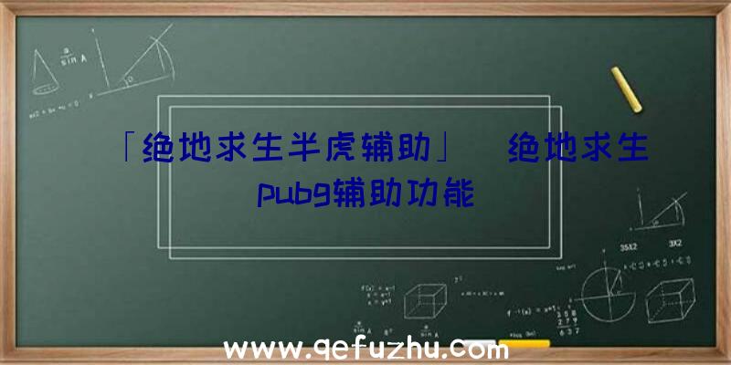 「绝地求生半虎辅助」|绝地求生pubg辅助功能